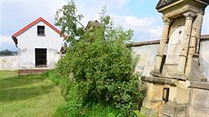 Hřbitov v Mikulči na Svitavsku, kde byly objeveny údajné pozůstatky upírů. Hřbitov v Mikulči na Svitavsku, kde byly objeveny údajné pozůstatky upírů.