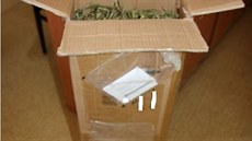 Dvojice na Uherskohradišťsku vyráběla nebezpečné fénixovy slzy - silný extrakt ze sušené marihuany. Drogu rozesílali do celého světa.