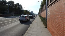 Na chodníku na olomoucké třídě Míru srazil mladý cyklista procházející seniorku... Na chodníku na olomoucké třídě Míru srazil mladý cyklista procházející seniorku...