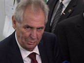 Zeman volí Zeman volí