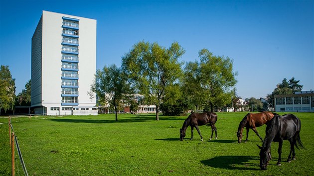 Opraven vysokokolsk kolej K1.