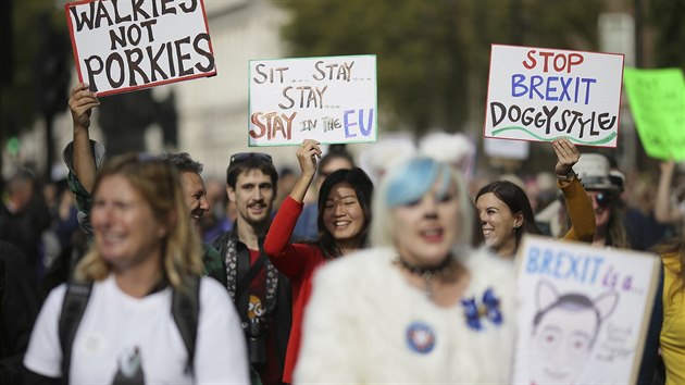 Asi tiscovka lid se spolu se svmi psy astnila pochodu centrem Londna na protest proti chystanmu vystoupen Britnie z Evropsk unie