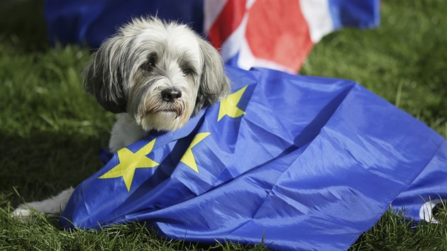 Asi tiscovka lid se dnes spolu se svmi psy astnila pochodu centrem Londna na protest proti chystanmu vystoupen Britnie z Evropsk unie.