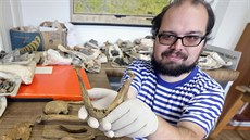 Archeolog Jan Tajer ukazuje ostatky muže pohřbeného v kostele sv. Anny na Božím... Archeolog Jan Tajer ukazuje ostatky muže pohřbeného v kostele sv. Anny na Božím...