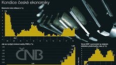 Kondice české ekonomiky Kondice české ekonomiky