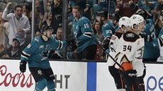 Tomáš Hertl (vlevo) slaví se spoluhráči ze San Jose svůj gól proti Anaheimu. Tomáš Hertl (vlevo) slaví se spoluhráči ze San Jose svůj gól proti Anaheimu.