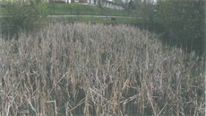 Protipožární nádrž v dubnu roku 2017.