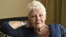 Judi Denchová (Toronto, 11. září 2017) Judi Denchová (Toronto, 11. září 2017)