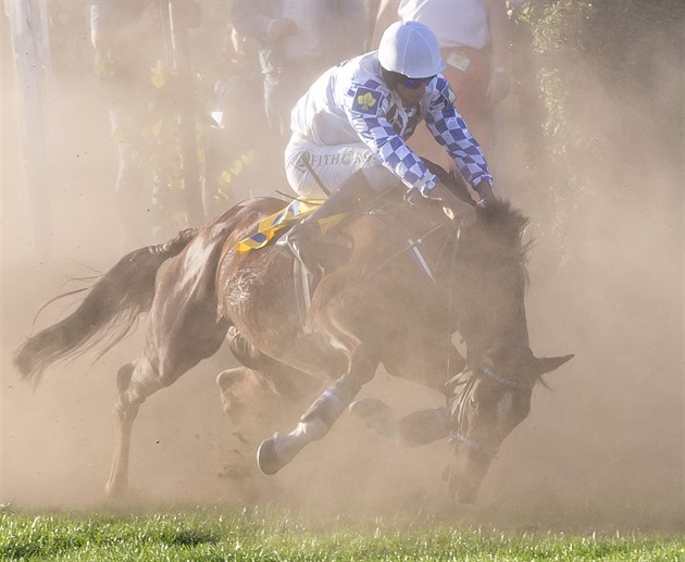 Momentka ze 128. roníku Velké pardubické.