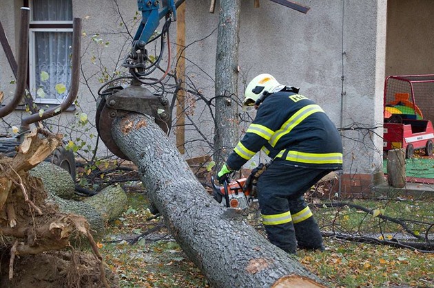 Hasii likvidují strom, který spadl na budovu hejnické kolky Zvoneek.