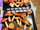 Hobby z cesko-slovenskeho pomezi
Hobby z cesko-slovenskeho pomezi