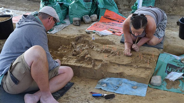 Archeologové u Drasenhofenu našli pozůstatky mamutů, ale i jiných zvířat. Archeologové u Drasenhofenu našli pozůstatky mamutů, ale i jiných zvířat.