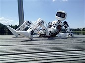 Robota, který se vydá na stopařskou pouť, vytvořili v Jablonci nad Nisou.... Robota, který se vydá na stopařskou pouť, vytvořili v Jablonci nad Nisou....