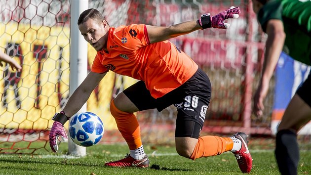 Pardubick brank Nicolas md zasahuje v utkn 3. kola MOL Cupu proti Jablonci.