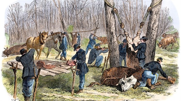 Podznout, sthnou, naporcovat a nasolit. S tm poslednm byl vak postupn pro konfederan jednotky stle vt problm.