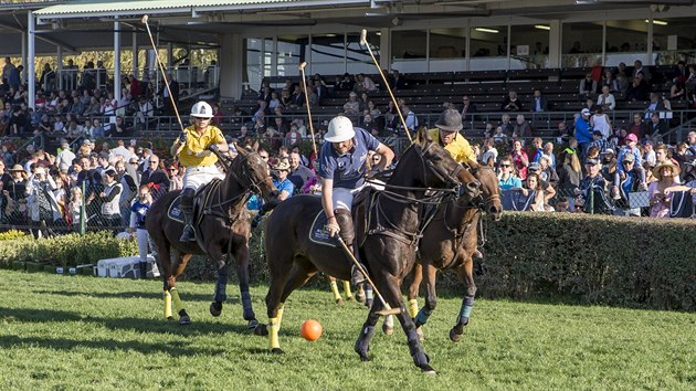 Divci na Velk pardubick mohli ped hlavn tribunou sledovat ukzku koskho pla.