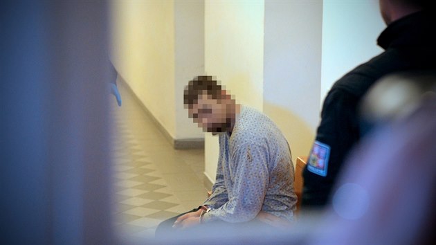 Soud poslal osmadvacetiletho mue obvinnho z vkendov vrady seniora v Plzni do vazby. (17. 10. 2018)
