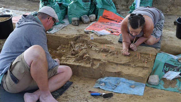 Archeologov u Drasenhofenu nali pozstatky mamut, ale i jinch zvat.