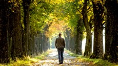 10.10.2018 Hradec Králové podzimní počasí 10.10.2018 Hradec Králové podzimní počasí