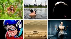 Fotografie nominované do soutěže Czech Press Photo 2018 Fotografie nominované do soutěže Czech Press Photo 2018