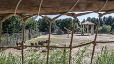 Safari camp v ZOO Dvůr Králové Safari camp v ZOO Dvůr Králové