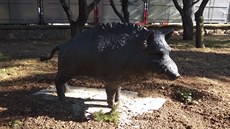 Socha opilého divočáka, která má rozveselit dětské pacienty Masarykova... Socha opilého divočáka, která má rozveselit dětské pacienty Masarykova...