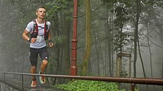 Tomáš Šafránek Tomáš Šafránek