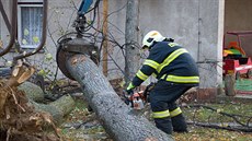 Hasiči likvidují strom, který spadl na budovu hejnické školky Zvoneček. Hasiči likvidují strom, který spadl na budovu hejnické školky Zvoneček.