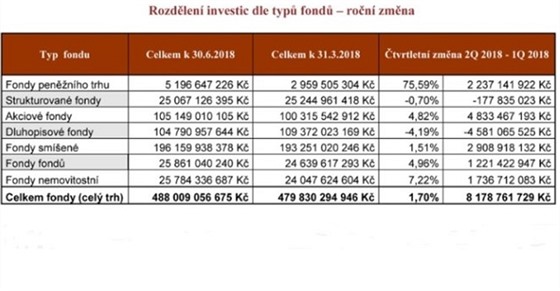 Rozdlen investic dle typu fond  ron zmna