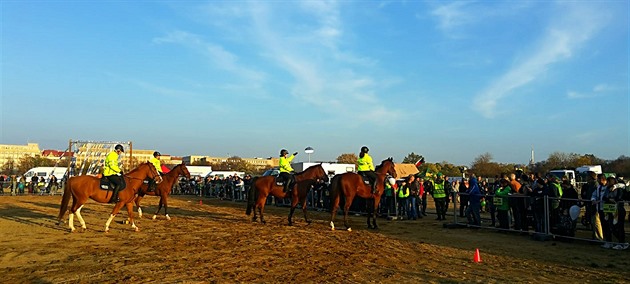 Ukázka výcviku policejních koní v rámci letoní pehlídky.