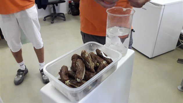 Pro testování splachování klozetů se používají speciální tělíska, jaká určuje... Pro testování splachování klozetů se používají speciální tělíska, jaká určuje...