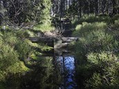 Na Šumavě obnoví téměř dva tisíce hektarů rašelinišť a mokřadů. Cílem je v... Na Šumavě obnoví téměř dva tisíce hektarů rašelinišť a mokřadů. Cílem je v...