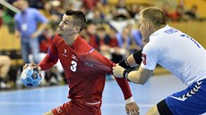 Roman Bečvář (vlevo) z českého týmu a Fredrik Forss z Finska. Roman Bečvář (vlevo) z českého týmu a Fredrik Forss z Finska.