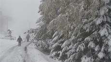 Na Šumavě v noci na 28. října 2018 sněžilo. Místy napadlo až 13 centimetrů... Na Šumavě v noci na 28. října 2018 sněžilo. Místy napadlo až 13 centimetrů...