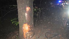 Tragická dopravní nehoda mezi obcemi Velíková a Hrobice na Zlínsku. Tragická dopravní nehoda mezi obcemi Velíková a Hrobice na Zlínsku.