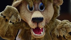 Nymburský maskot se snaží nabudit publikum v duelu Ligy mistrů Nymburský maskot se snaží nabudit publikum v duelu Ligy mistrů