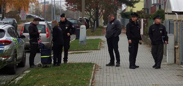 Neznámý pachatel v pátek ráno pepadl potovní doruovatelku v Plzni.