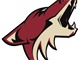 Arizona Coyotes