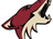 Arizona Coyotes