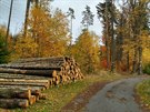 Barevný podzim, Bakov nad Jizerou Barevný podzim, Bakov nad Jizerou