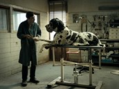 Z filmu Dogman Z filmu Dogman
