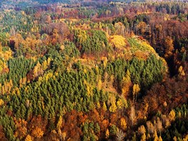 Kokoínské lesy na fotografii z letadla (6. listopadu 2018)