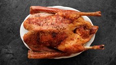 Husička po pěti hodinách pomalého pečení Husička po pěti hodinách pomalého pečení