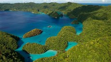 Palau dlouhodob patí k zemím, které kladou velký draz na ochranu oceán. V...