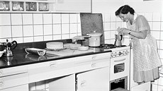 Moderně zařízená plynová kuchyně představená na strojírenském veletrhu v Brně... Moderně zařízená plynová kuchyně představená na strojírenském veletrhu v Brně...