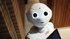 Robot Robot