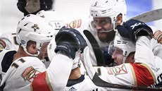 Hokejisté Florida Panthers oslavují gól. Hokejisté Florida Panthers oslavují gól.