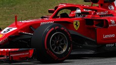 Sebastian Vettel z Ferrari bhem tréninku na Velkou cenu Brazílie