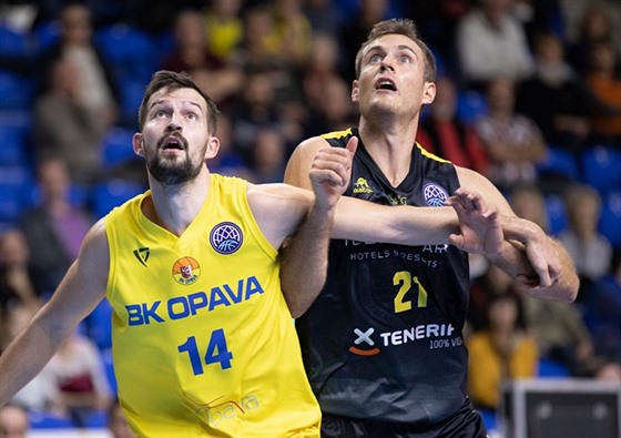 Martin Gniadek (left) from Opava is fighting for his position with Tim Abromaitis from Tenerife.