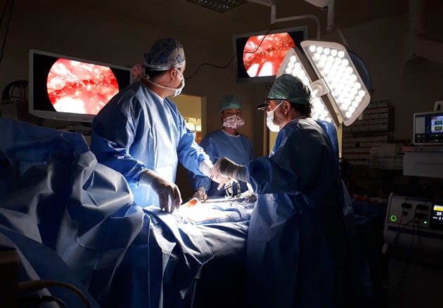Unikátní zákrok provedli plastití chirurgové z Fakultní nemocnice v Olomouci....